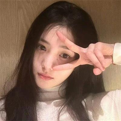 兽娘动物园